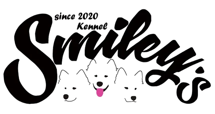 Smiley's Kennel - サモエド専門犬舎
