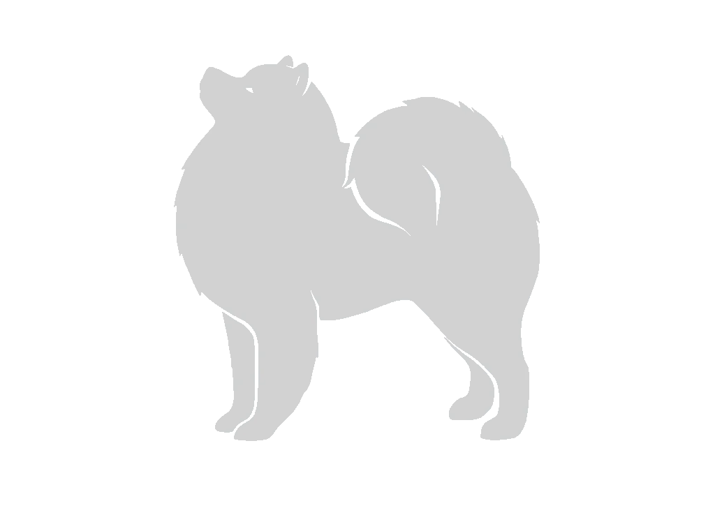サモエドアイコン